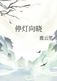 停灯向晓碎月亮免费阅读