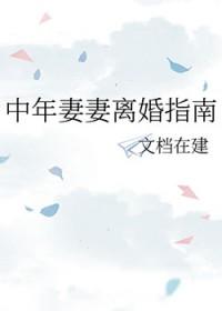 中年妻妻离婚指南_