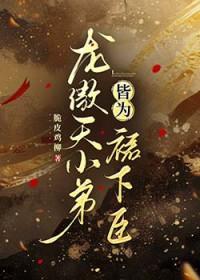 叫龙傲天的