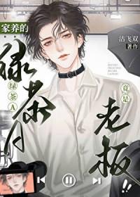 绿茶养茶宠