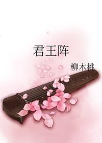 君王阵讲的什么