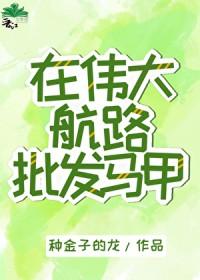 海贼王伟大航路前是什么