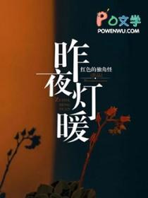 昨夜灯暖大结局