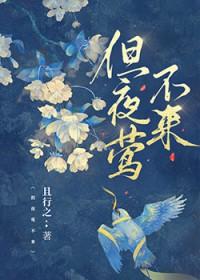 但夜莺不来txt