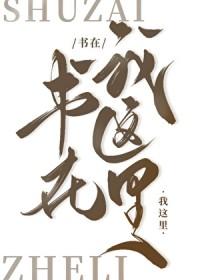 主角在文野写书的