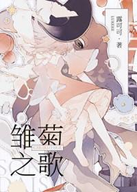 雏菊之恋