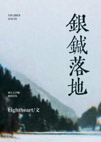 银针落地txt