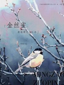 金丝雀软包