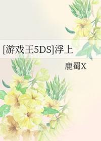 游戏王5dsost