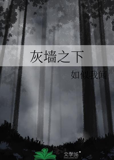 灰墙之下免费
