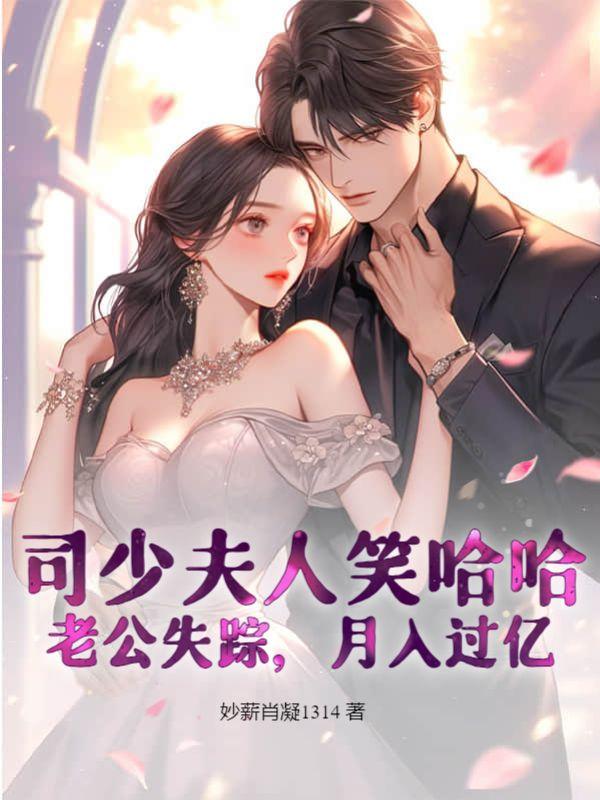 夫人又跑了这本书