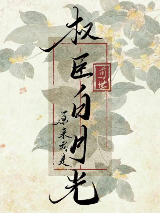 回到亡妻年少时类别重生作者 官锦锦锦锦