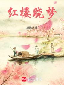 最红楼电视剧免费观看