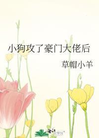 小狗攻了豪门大佬后晋江