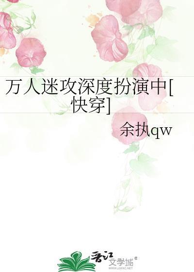 关于万人迷攻的