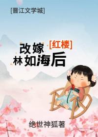 红楼之林如海继子
