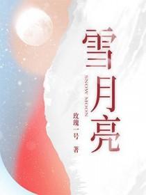 雪月亮图片