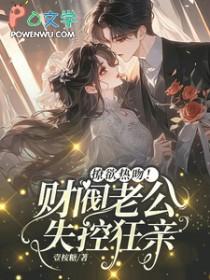 财阀老公强势夺爱黄