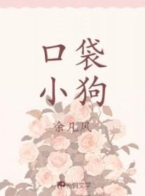 口袋小狗大冒险