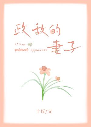 政敌的妻子十仪免费阅读