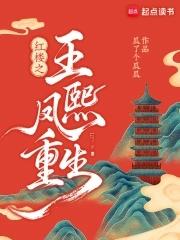 重生之王熙凤红楼