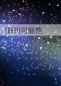 可能性l
