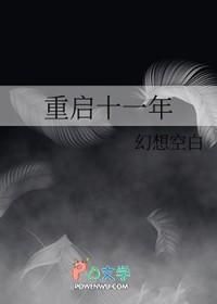 重启2011