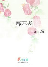 春不老怎么做好吃