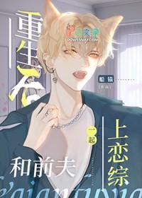 重生再遇前夫