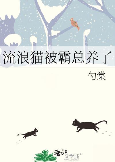流浪猫被收养特别乖
