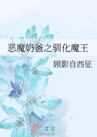 恶魔奶爸动画版