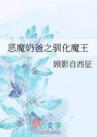 宠物小精灵同人排行榜
