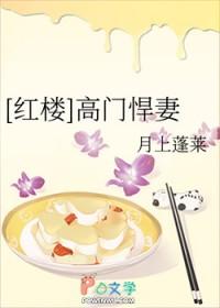 红楼高门悍妻大结局