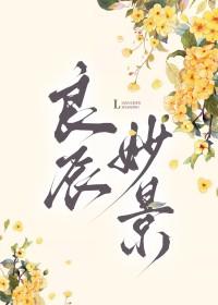 良辰美景的解释是什么