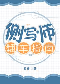 侧写师翻车指南 TXT