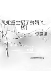 重生红楼凤姐儿有空间