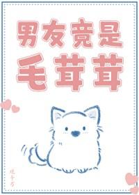 毛茸茸意思是什么