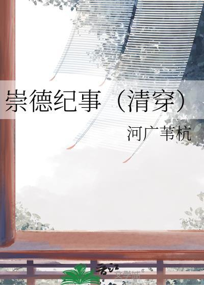 崇德schunk
