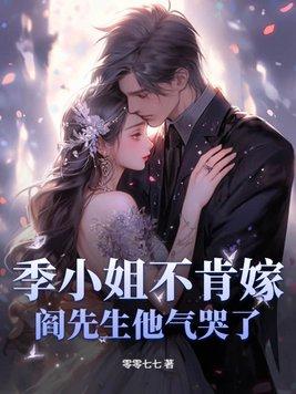 季先生的有几部