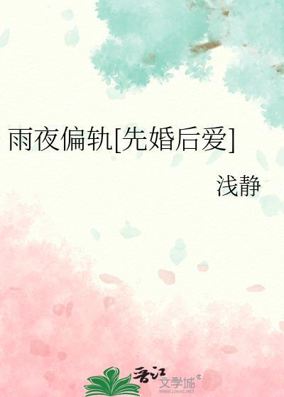 雨夜txt