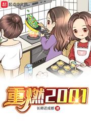 重燃这本书怎么样