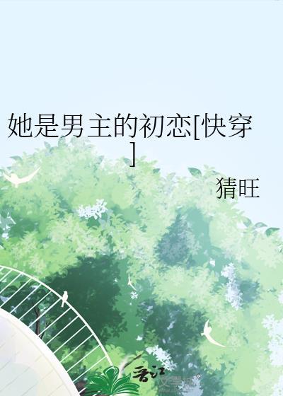 男主的