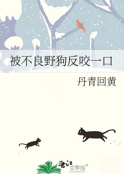 被野狗咬怎么办