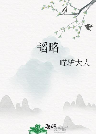 韬略成语