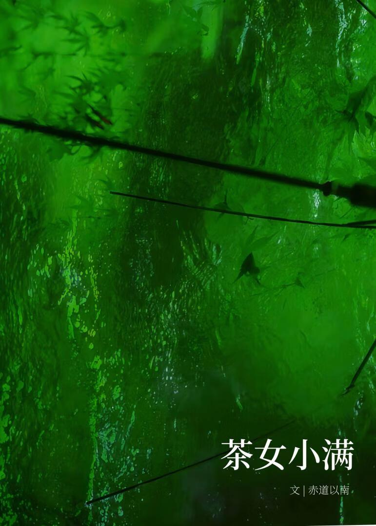 小满茶田总部在哪