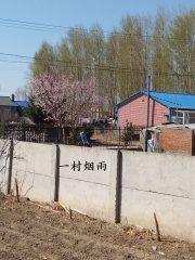 一蓑烟雨任平生