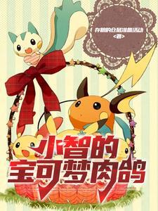 精灵宝可梦all小智