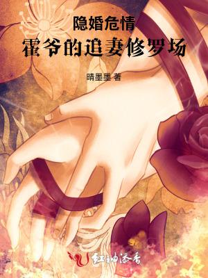 隐婚蜜爱霍少