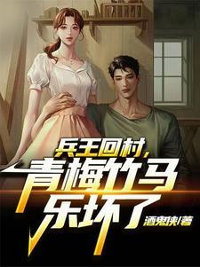 兵王回村