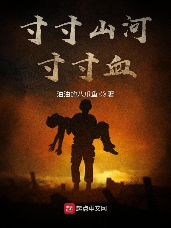 寸寸山河寸寸血大结局